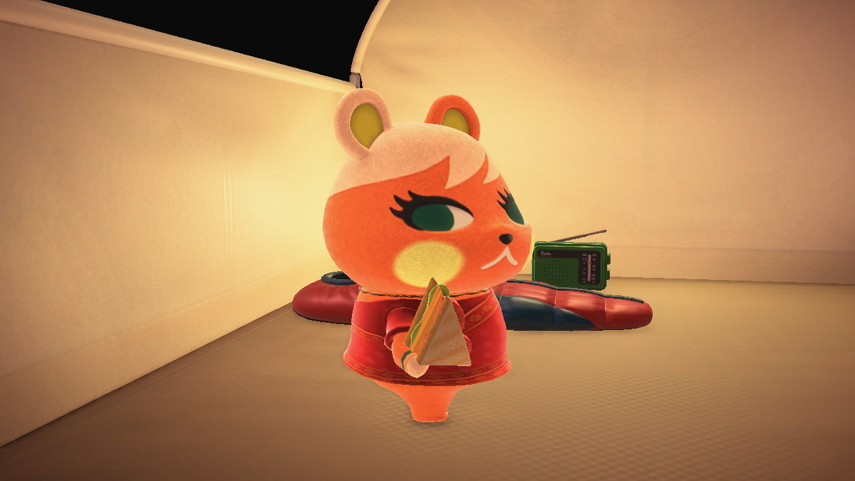 ニンテンドースイッチ あつまれどうぶつの森 キャンプ場 72回目の画像