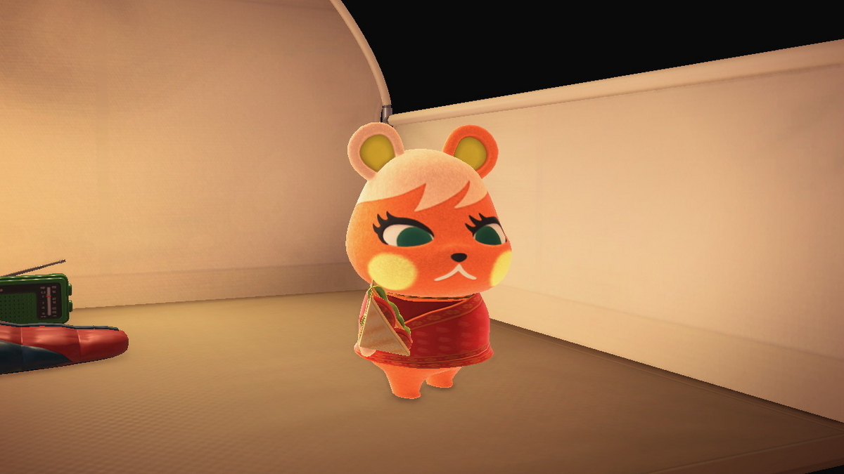 ニンテンドースイッチ あつまれどうぶつの森 キャンプ場 72回目の画像