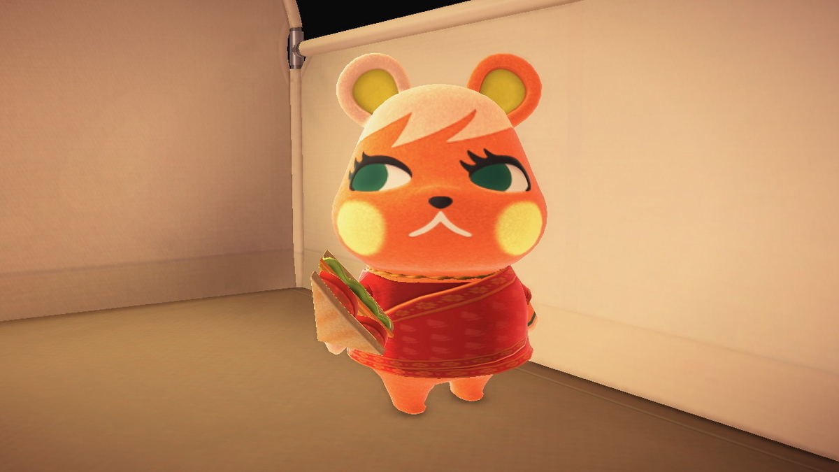 ニンテンドースイッチ あつまれどうぶつの森 キャンプ場 72回目の画像