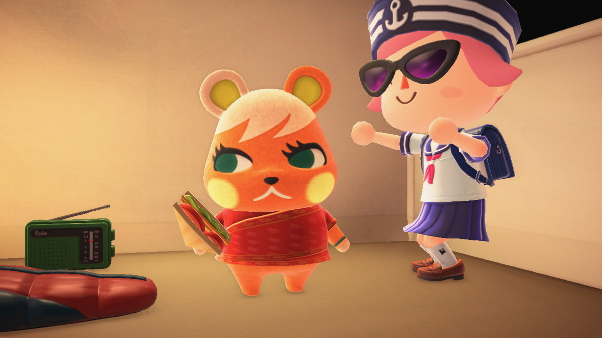 ニンテンドースイッチ あつまれどうぶつの森 キャンプ場 72回目の画像