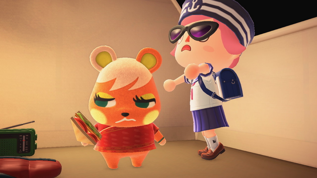 ニンテンドースイッチ あつまれどうぶつの森 キャンプ場 72回目の画像