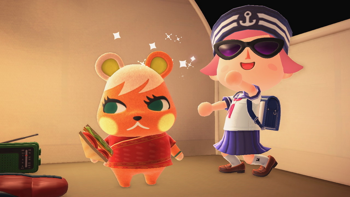 ニンテンドースイッチ あつまれどうぶつの森 キャンプ場 72回目の画像