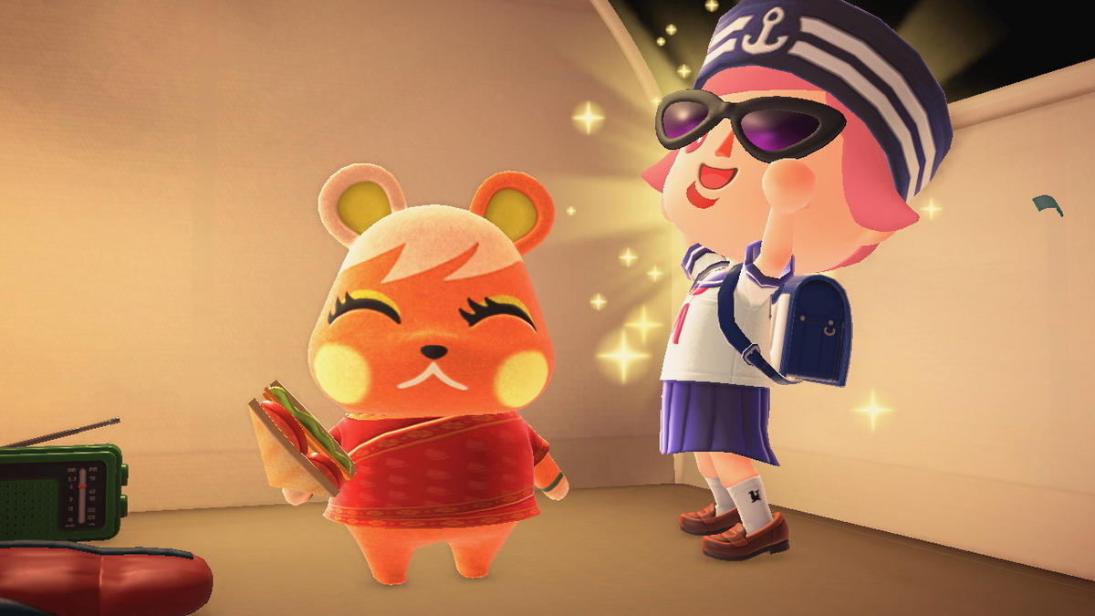 ニンテンドースイッチ あつまれどうぶつの森 キャンプ場 72回目の画像