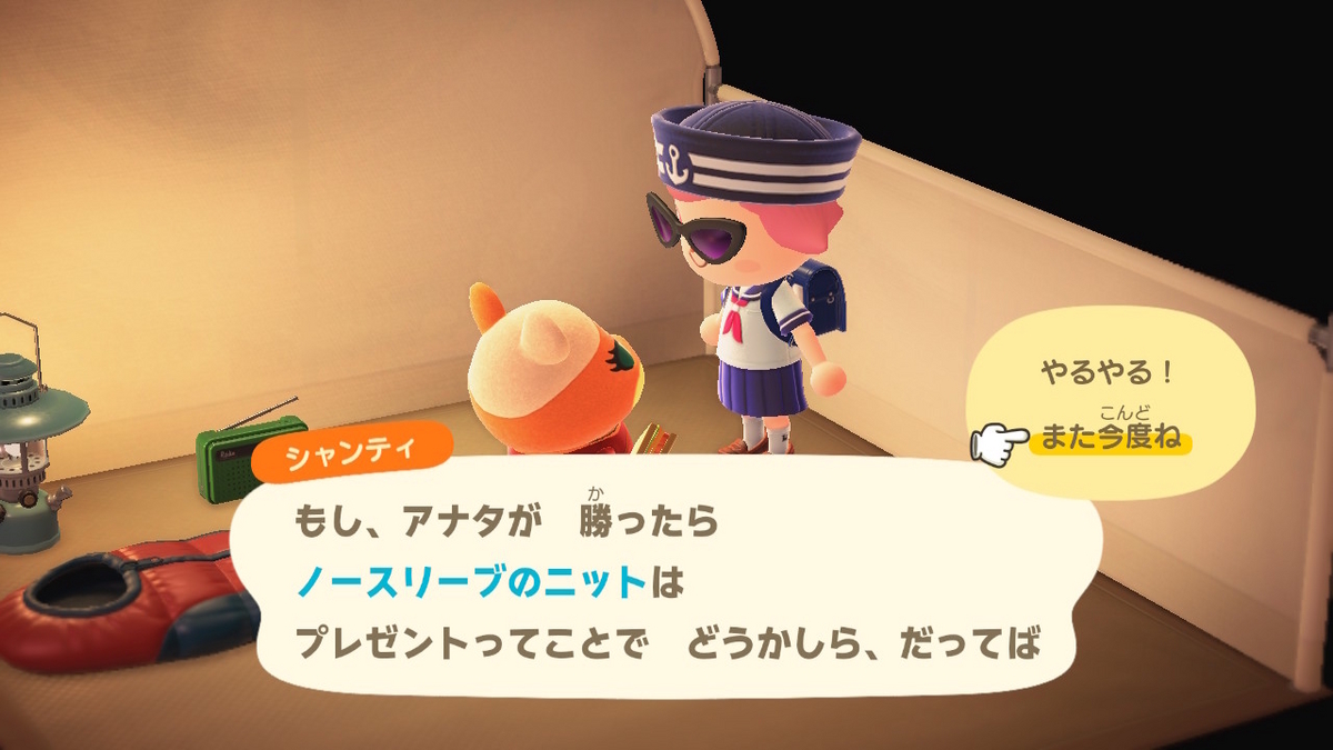 ニンテンドースイッチ あつまれどうぶつの森 キャンプ場 72回目の画像