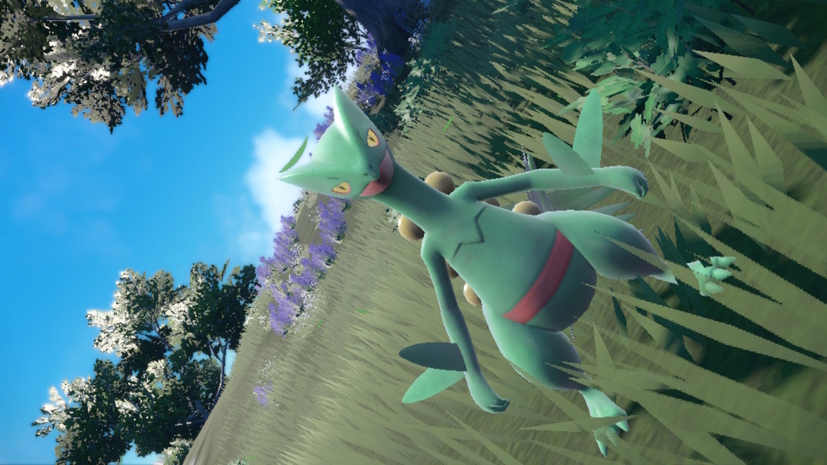 ポケモンsv テラレイドバトル さいきょう ジュカインVSマリルリの画像
