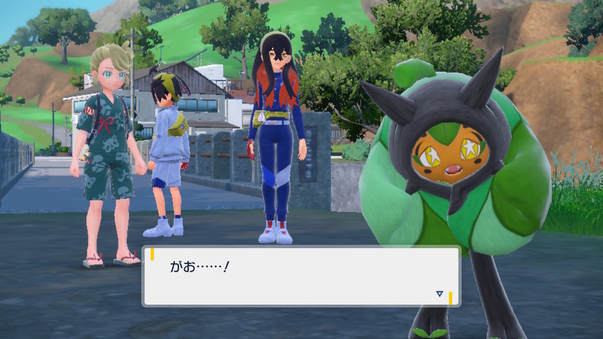 ポケモンsv ゼロの秘宝 前編・碧の仮面29ページ（この村のもんは