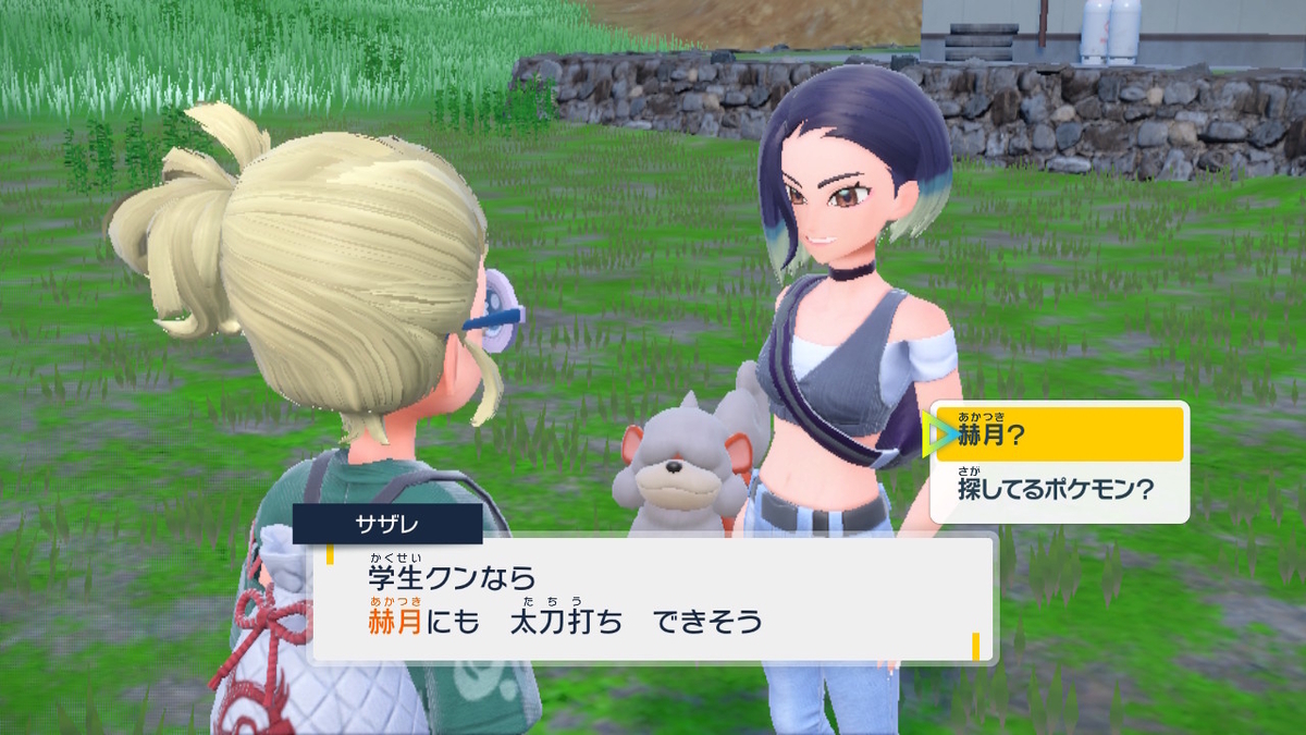 ポケモンsv碧の仮面【サザレと追うガチグマ見つけ隊】1ページの画像