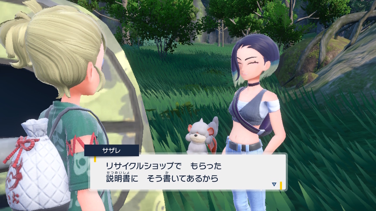 ポケモンsv碧の仮面【サザレと追うガチグマ赫月 見つけ隊】3ページの画像