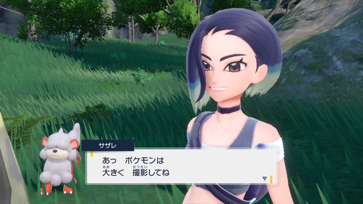 ポケモンsv碧の仮面【サザレと追うガチグマ赫月 見つけ隊】3ページの画像