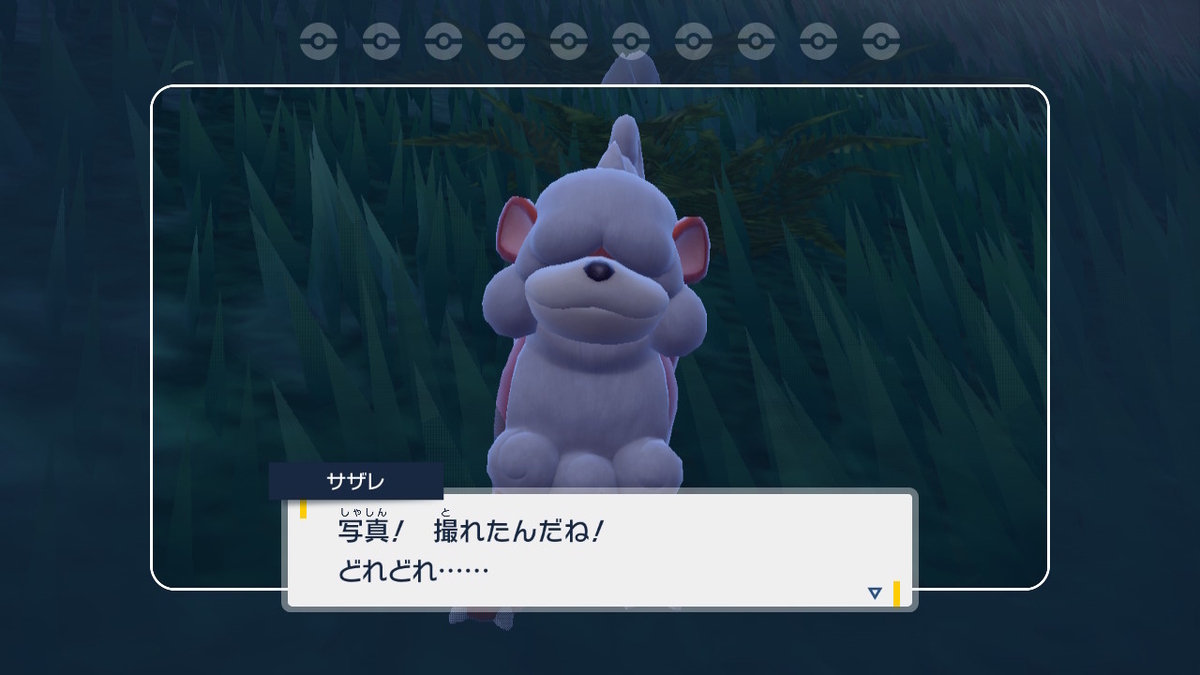 ポケモンsv碧の仮面【サザレと追うガチグマ赫月 見つけ隊】3ページの画像