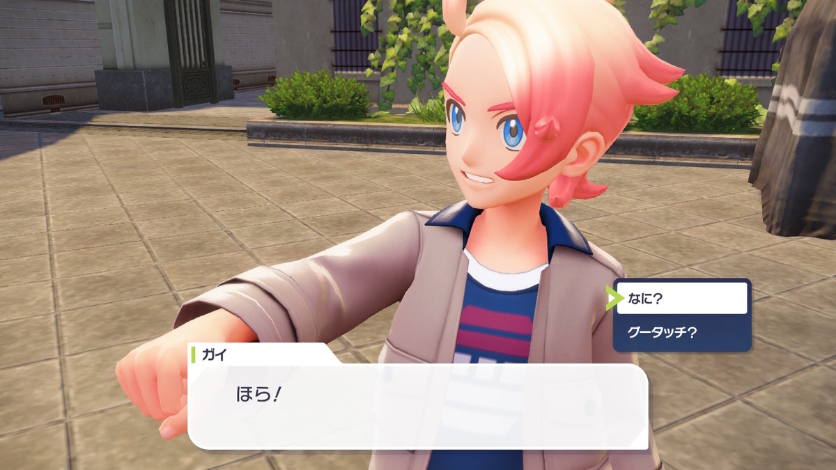 （レビュー）Pokémon LEGENDS Z-Aニンテンドースイッチでプレイしてみました！！の画像