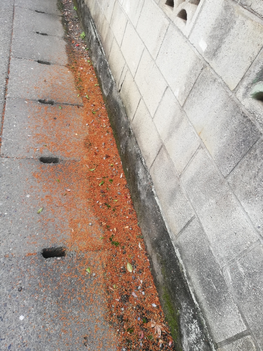 f:id:AtoRobin:20201013174304j:plain