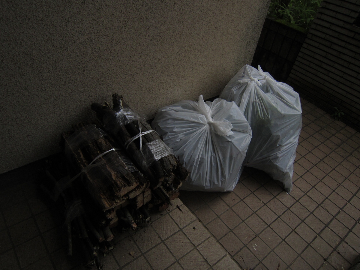f:id:AtoRobin:20210624154528j:plain