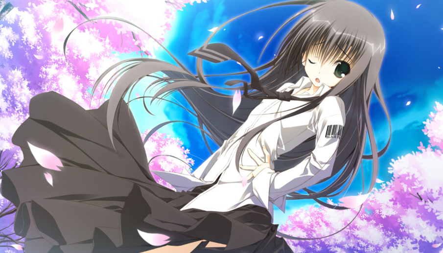 コラボカフェ10th サクラノ詩 ランチョンマット 夏目藍・草薙直哉 サクラノ刻サクラノ詩夏目藍BIGタペストリー