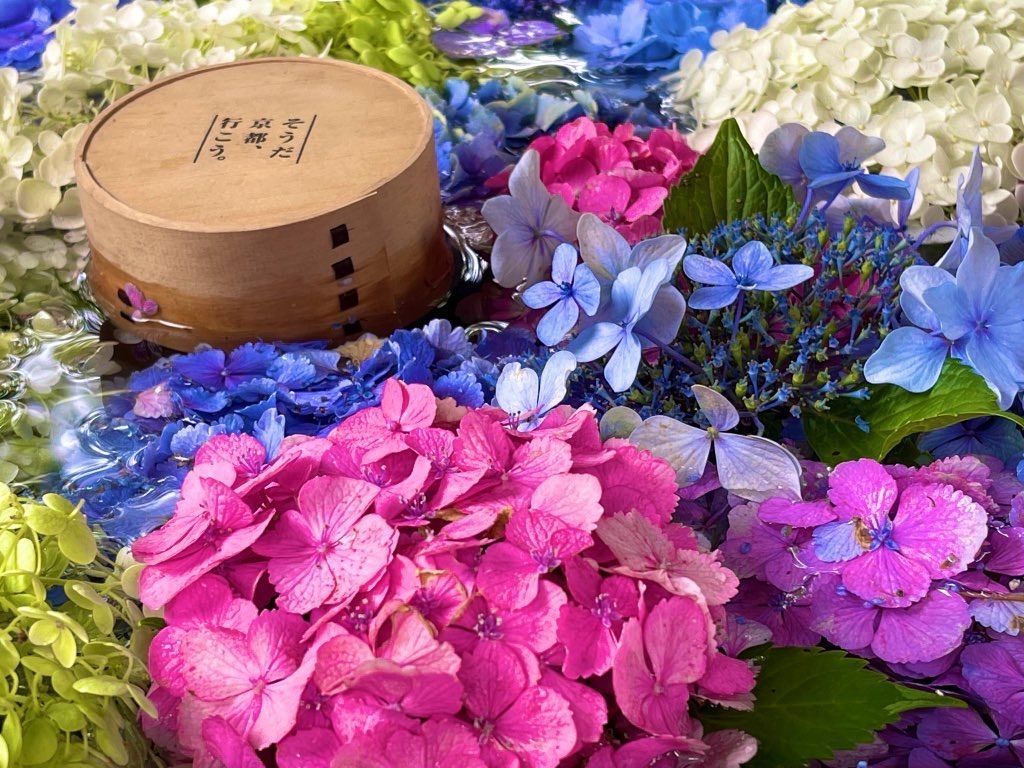 f:id:Atsuzo-SUN:20210630215404j:image f:id:Atsuzo-SUN:20210630215404j:image