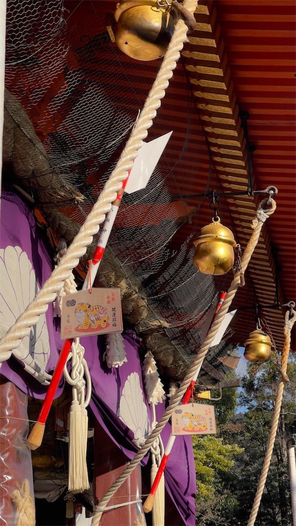 f:id:Atsuzo-SUN:20220102221844j:image