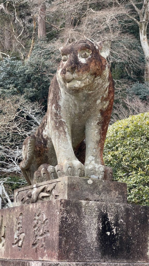 f:id:Atsuzo-SUN:20220212172224j:image