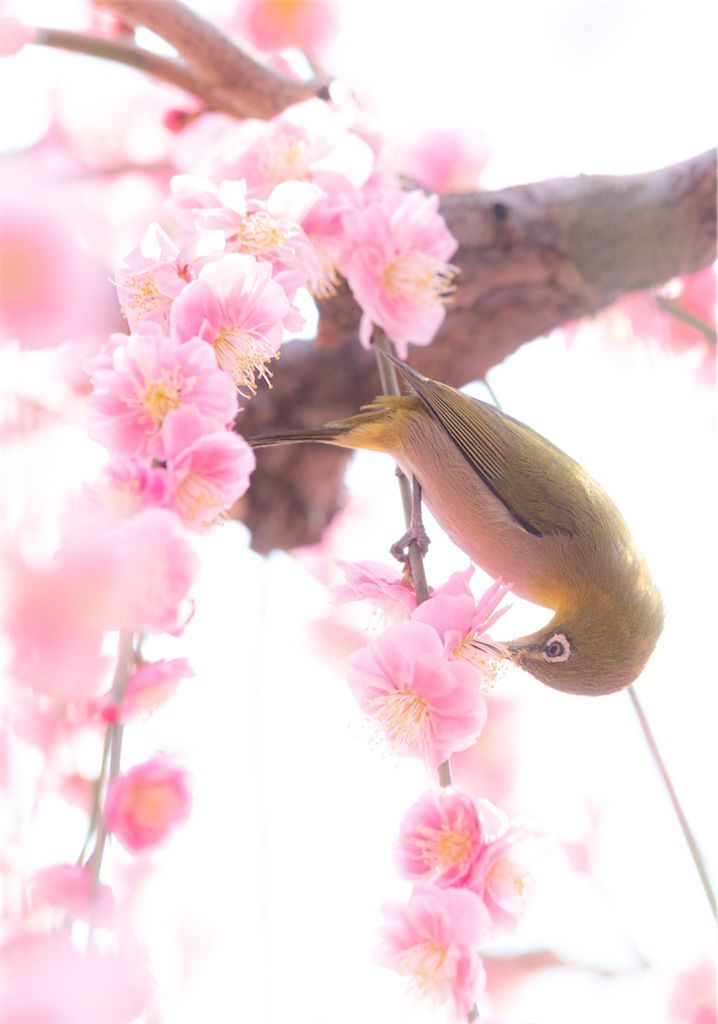 f:id:Atsuzo-SUN:20220313090527j:image