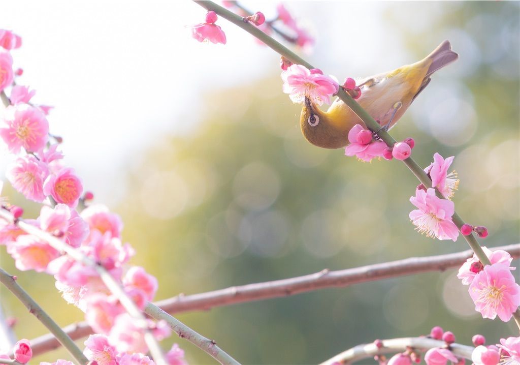 f:id:Atsuzo-SUN:20220313090535j:image