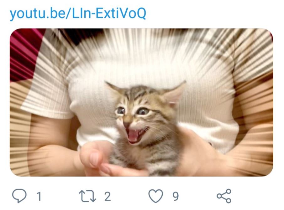 干物女子と幸せを呼ぶ猫 売れるためのウソは正義なのか Hobbitube 次世代youtuberおすすめメディア 干物女子と幸せを呼ぶ猫 売れるためのウソは正義なのか Hobbitube 次世代youtuberおすすめメディア