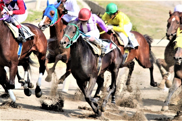 競馬