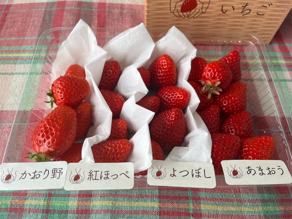f:id:Avancerwith:20220129214458j:image
