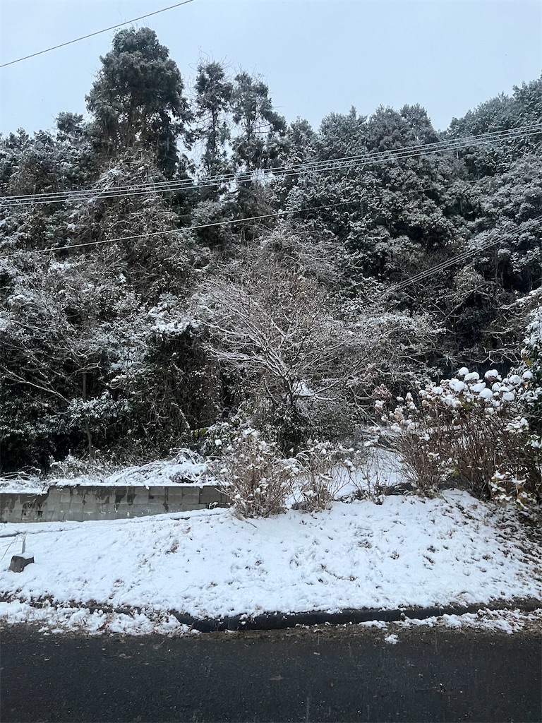 f:id:Avancerwith:20221219165624j:image f:id:Avancerwith:20221219165624j:image