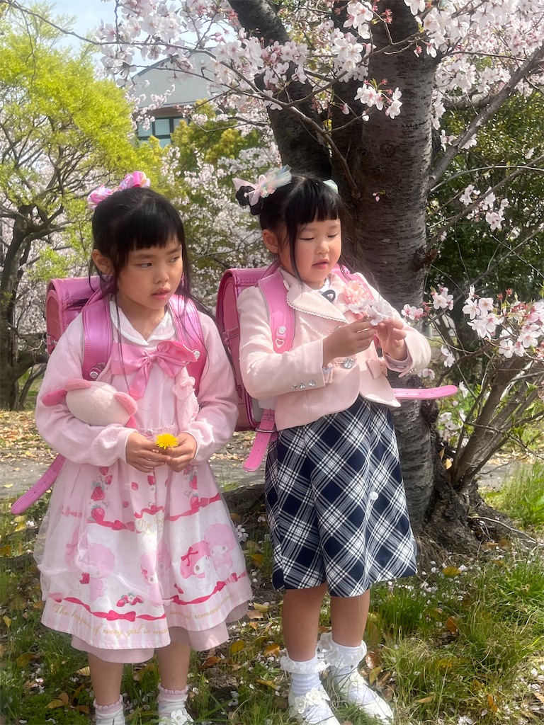 f:id:Avancerwith:20230401215824j:image