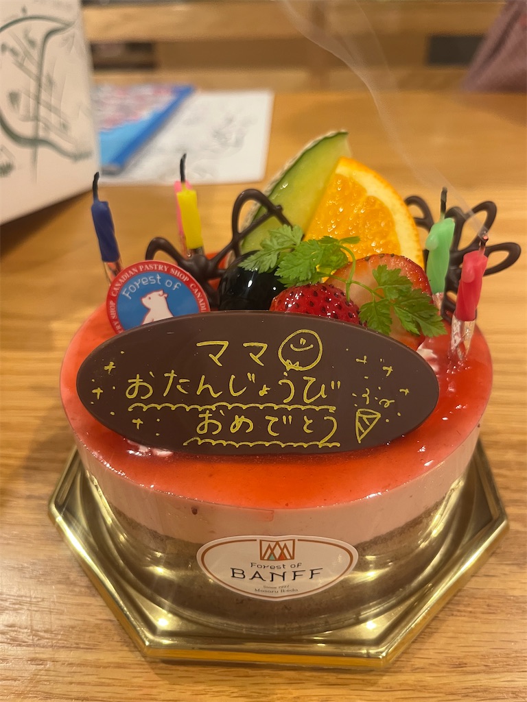 f:id:Avancerwith:20241113222418j:image