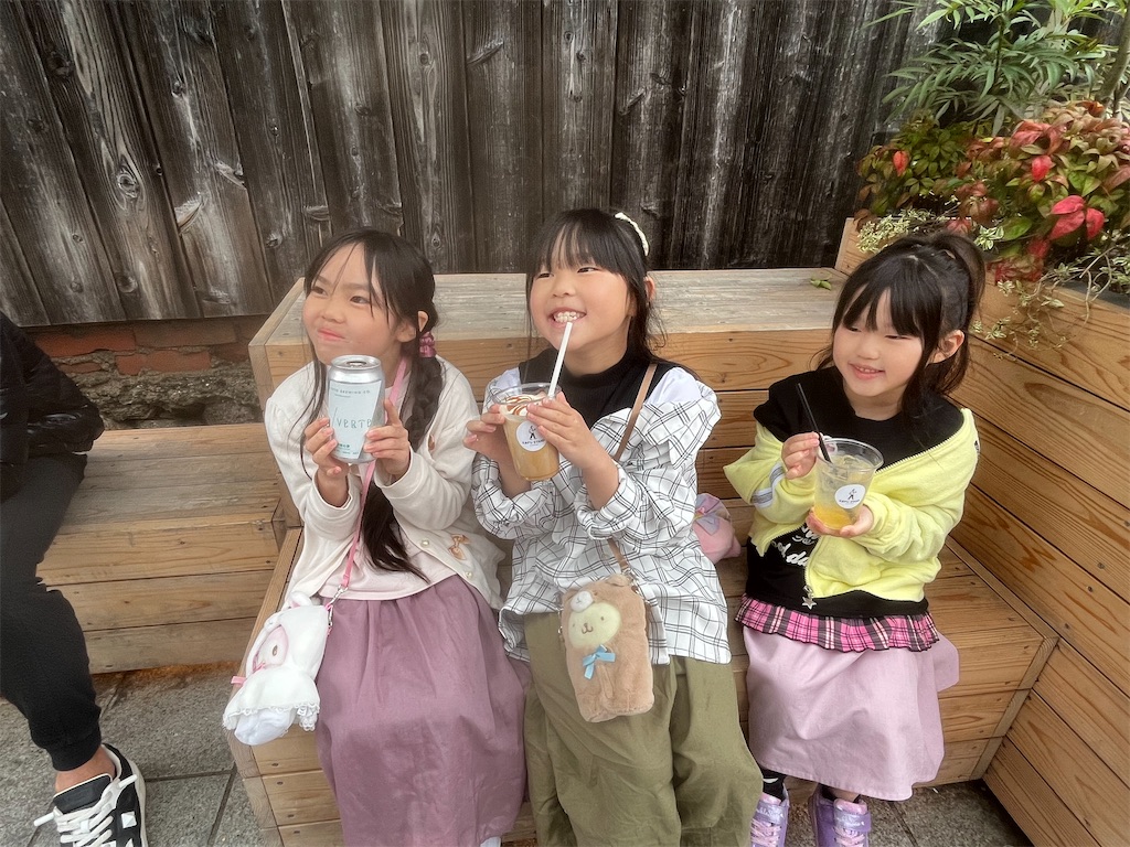 f:id:Avancerwith:20250404053543j:image f:id:Avancerwith:20250404053543j:image