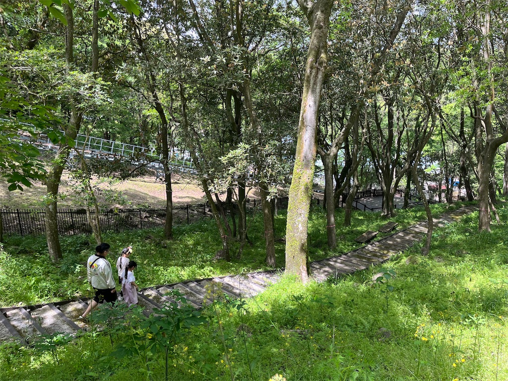 f:id:Avancerwith:20250505234132j:image f:id:Avancerwith:20250505234132j:image