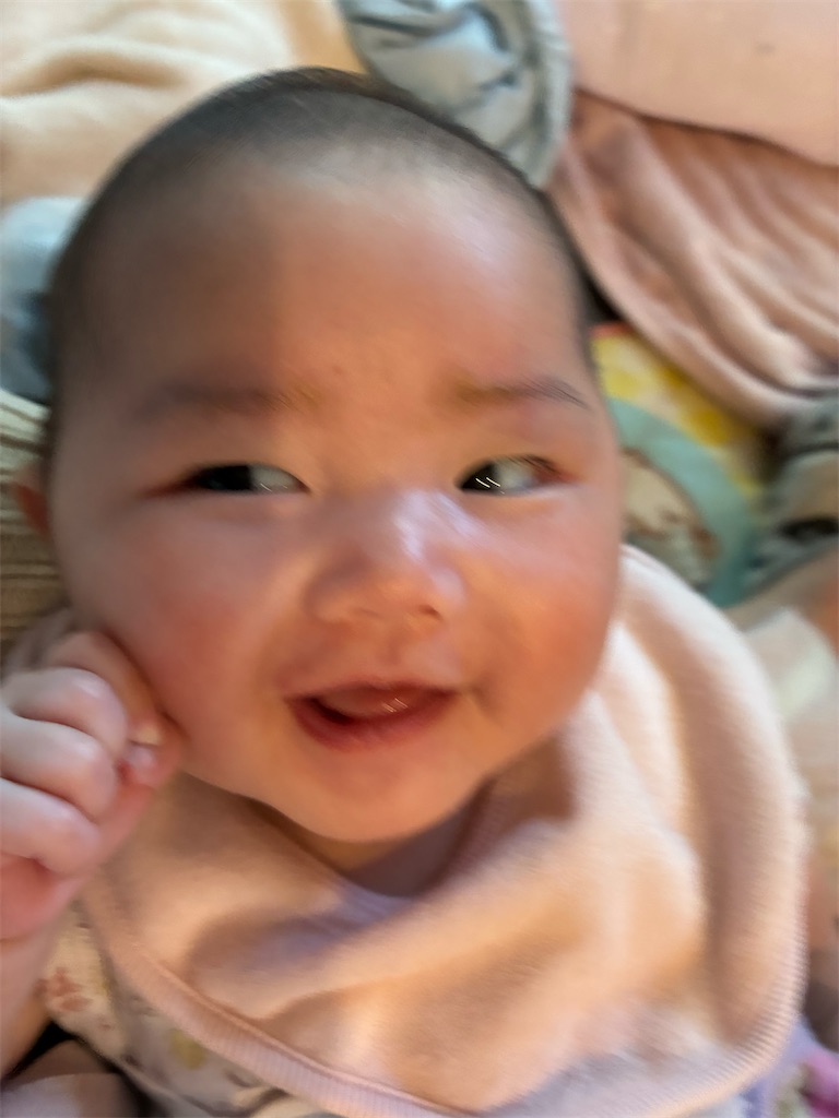 f:id:Avancerwith:20251203225652j:image