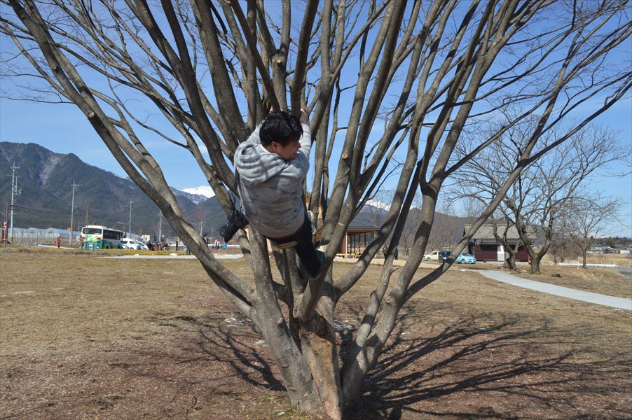 f:id:AyC:20180306015821j:plain