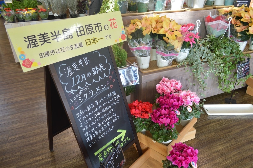 f:id:AyC:20181211025734j:plain f:id:AyC:20181211025734j:plain