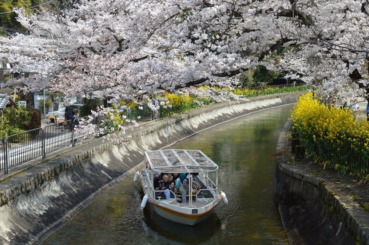 山科区の映画館 - 振り返ればロバがいる