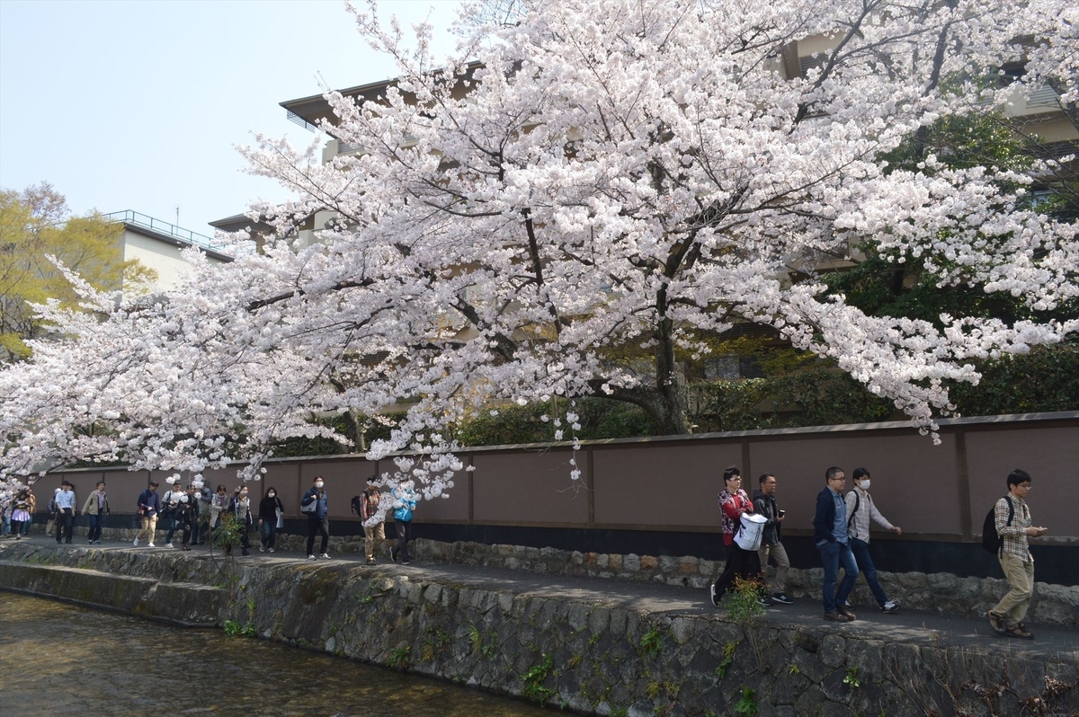 f:id:AyC:20190409032753j:plain f:id:AyC:20190409032753j:plain
