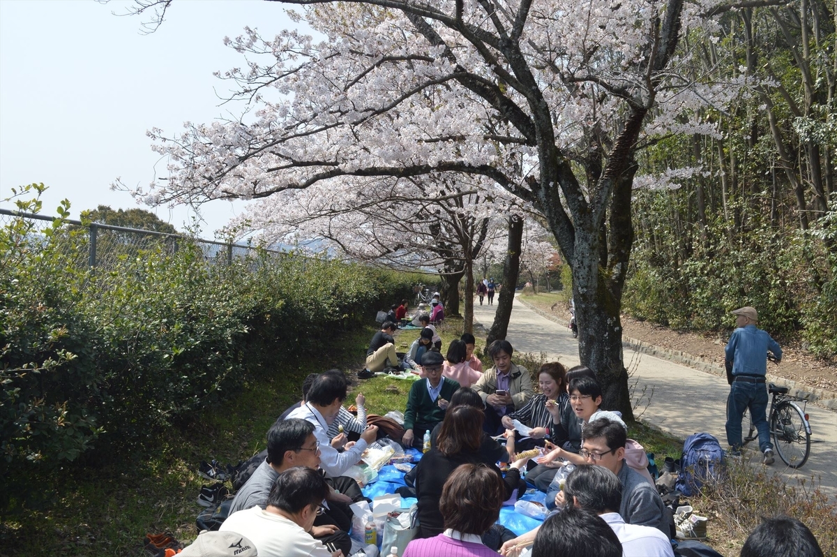f:id:AyC:20190409032804j:plain f:id:AyC:20190409032804j:plain