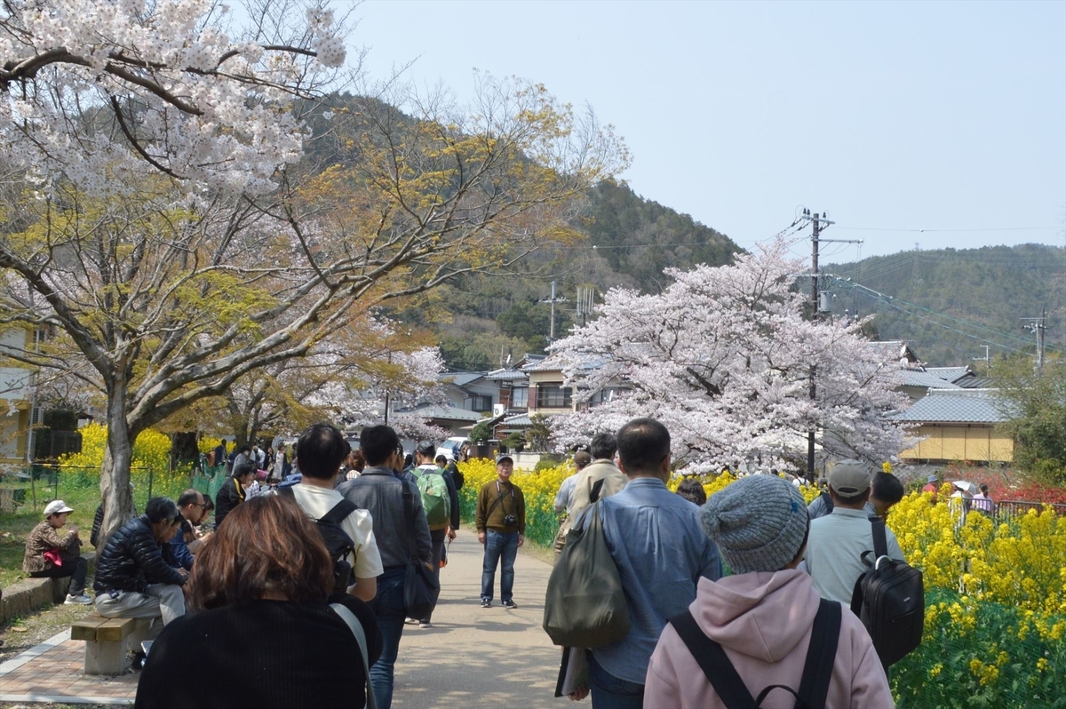 f:id:AyC:20190409032849j:plain f:id:AyC:20190409032849j:plain