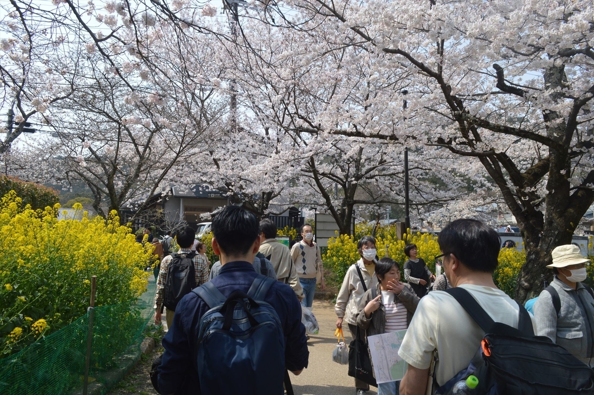 f:id:AyC:20190409032854j:plain f:id:AyC:20190409032854j:plain