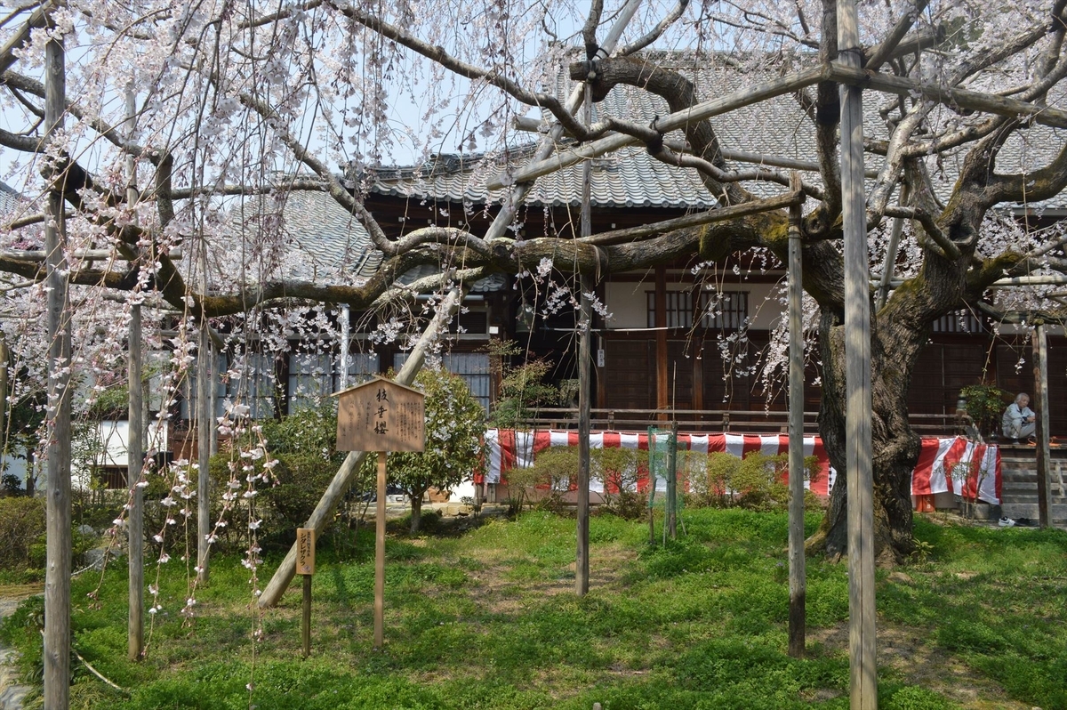 f:id:AyC:20190409032924j:plain f:id:AyC:20190409032924j:plain