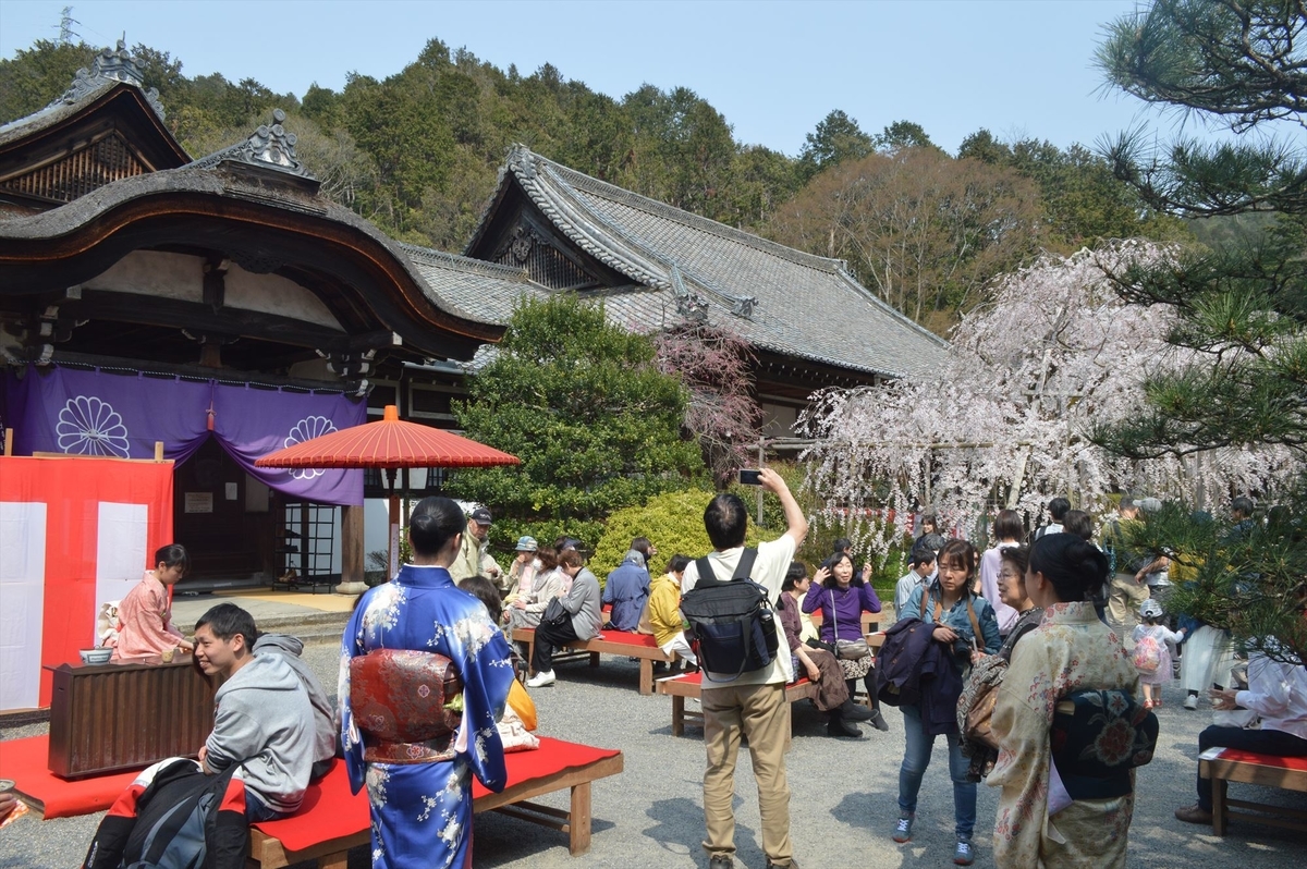f:id:AyC:20190409032929j:plain f:id:AyC:20190409032929j:plain