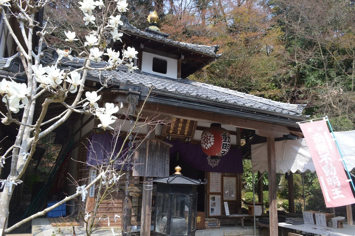 f:id:AyC:20190409032951j:plain f:id:AyC:20190409032951j:plain