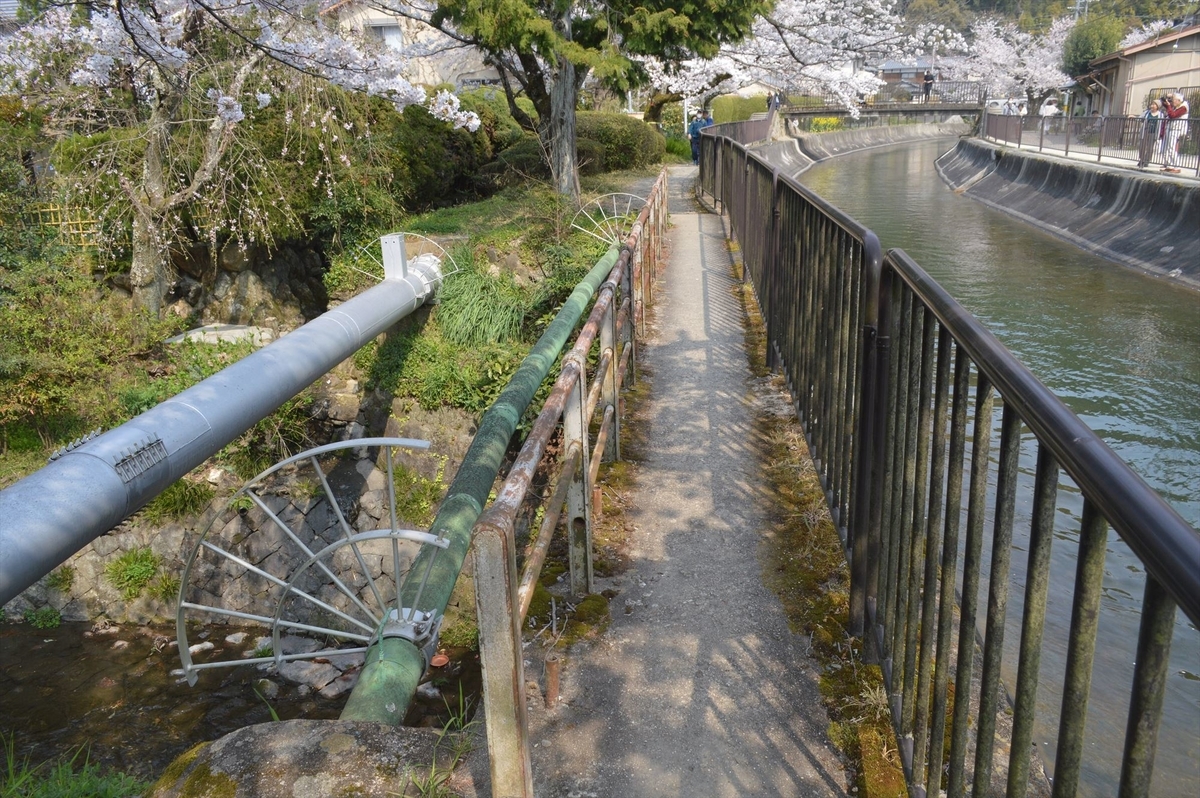f:id:AyC:20190409032958j:plain f:id:AyC:20190409032958j:plain