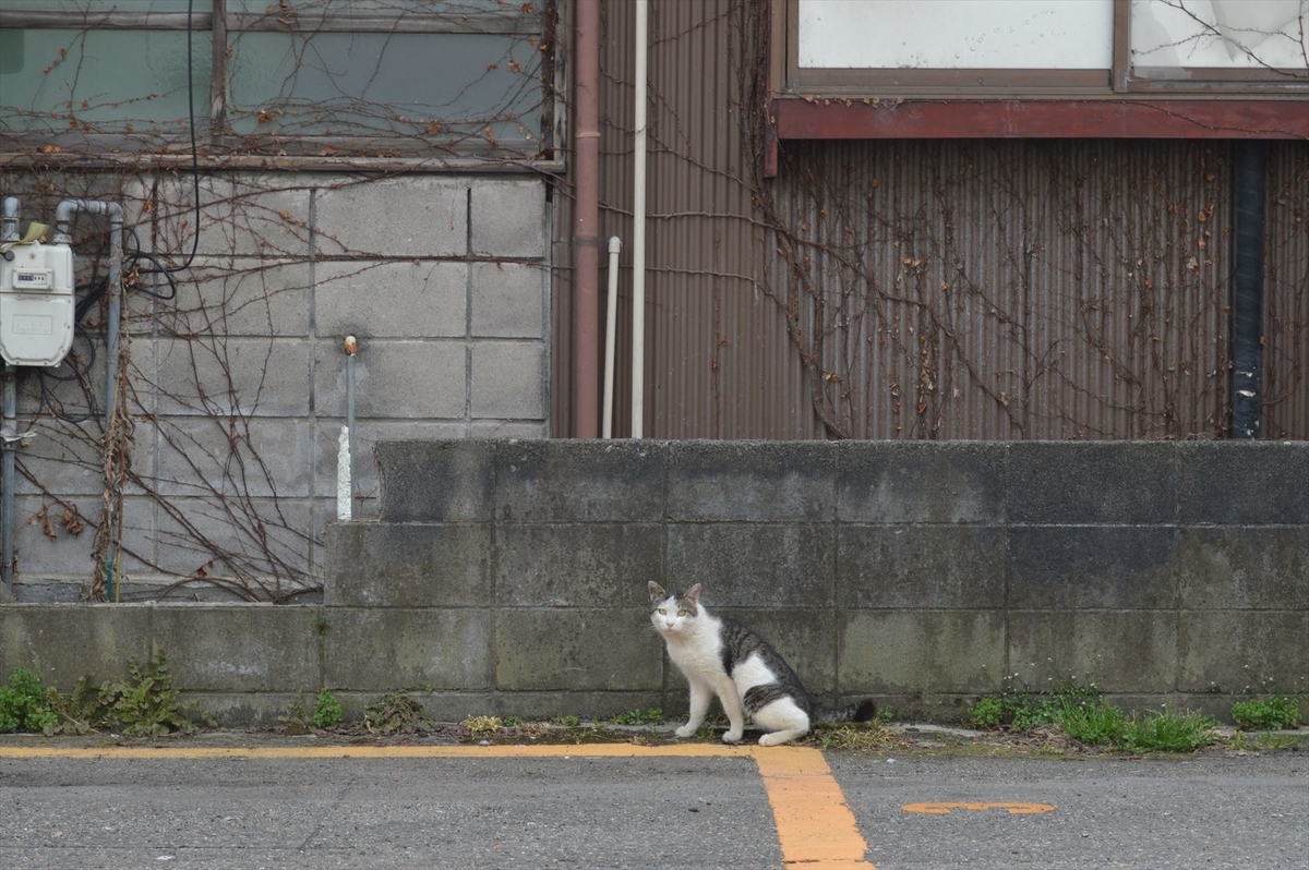 f:id:AyC:20190416135510j:plain f:id:AyC:20190416135510j:plain