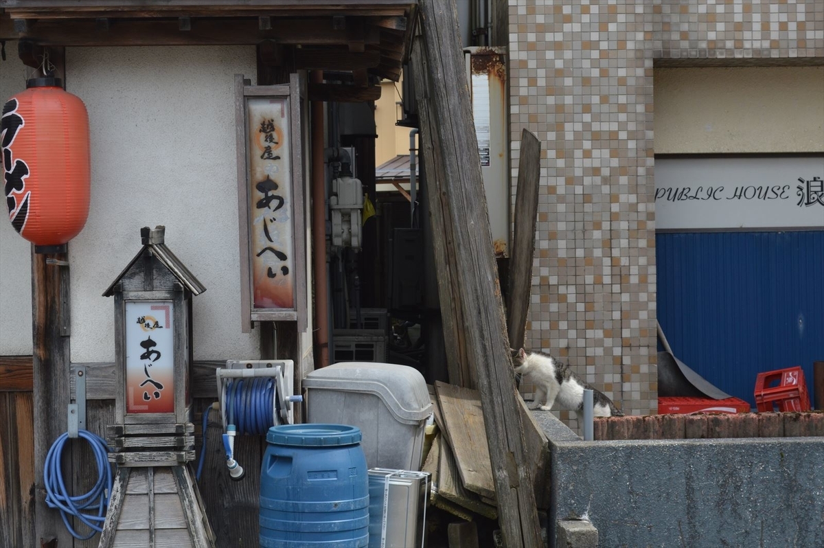 f:id:AyC:20190416135512j:plain f:id:AyC:20190416135512j:plain