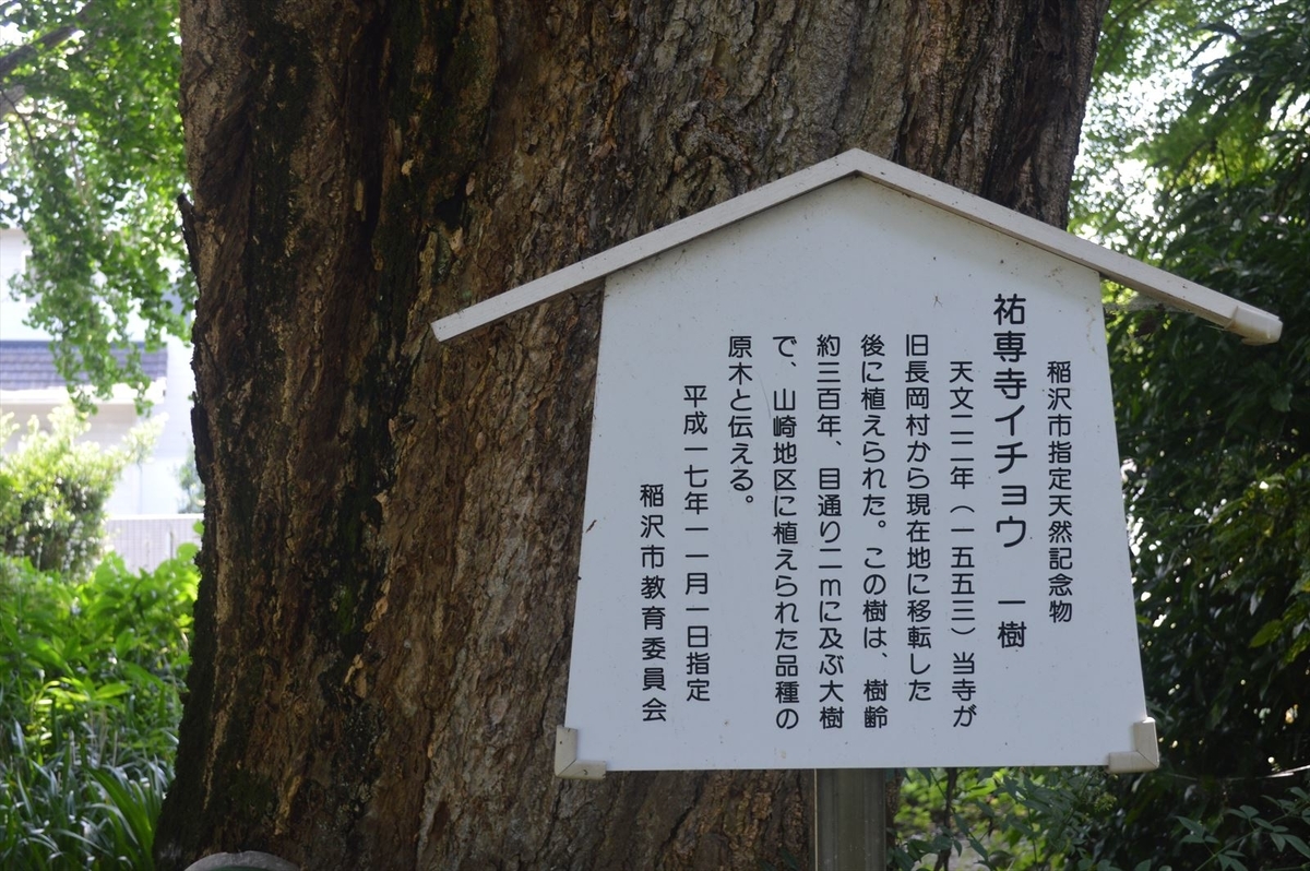 f:id:AyC:20190725072321j:plain f:id:AyC:20190725072321j:plain