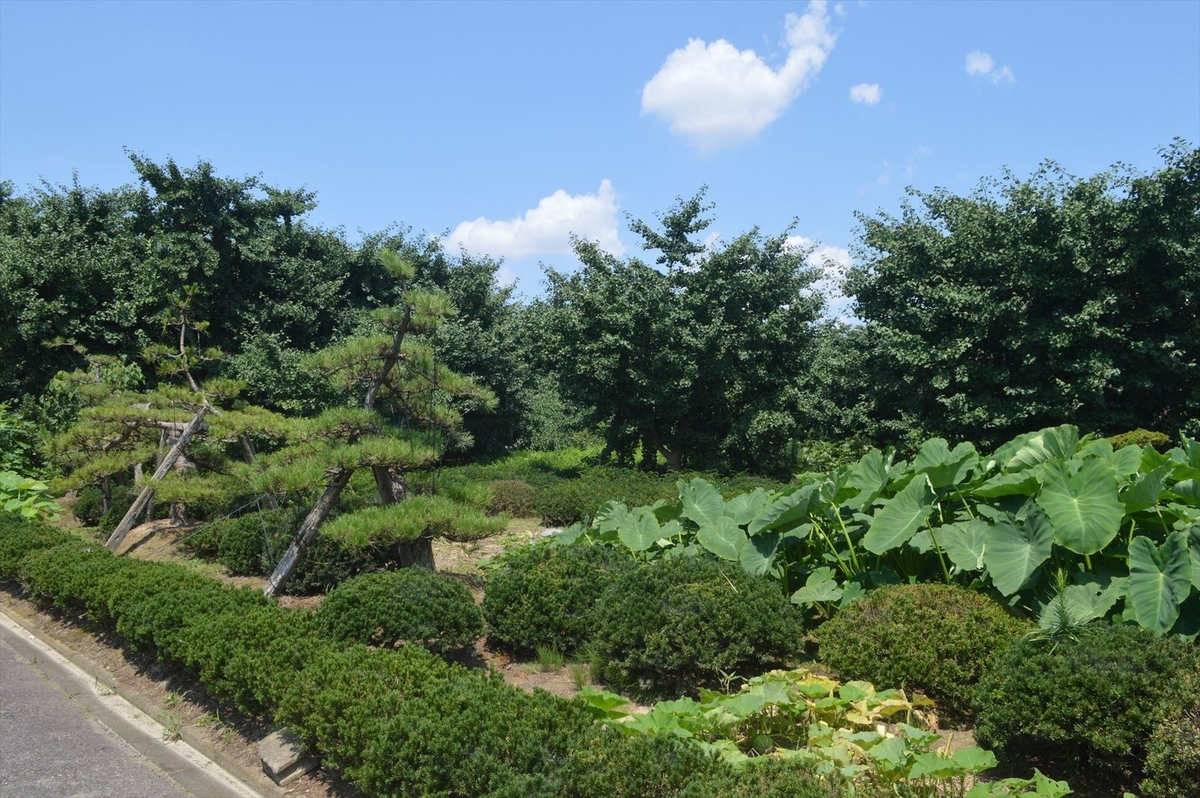 f:id:AyC:20190725072359j:plain f:id:AyC:20190725072359j:plain