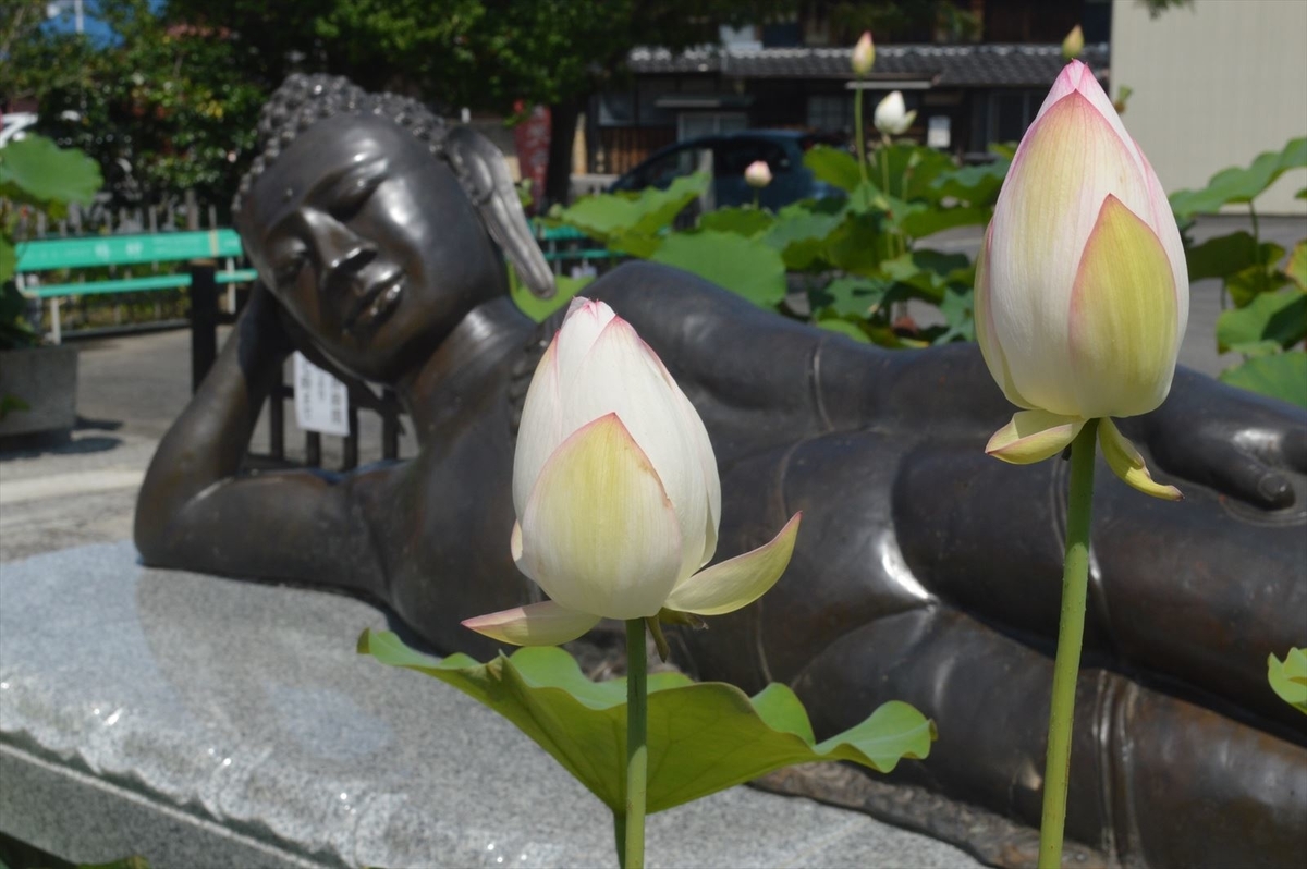 f:id:AyC:20190725072428j:plain f:id:AyC:20190725072428j:plain