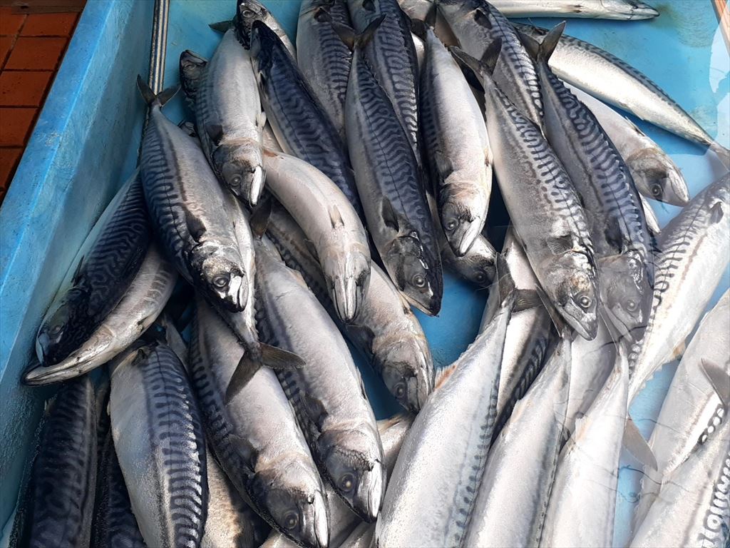 f:id:AyC:20210708172205j:plain