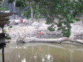 20100410093552